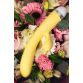 Вибратор с клиторальным стимулятором Flovetta by Toyfa Aster, силиконовый, желтый, 22 см