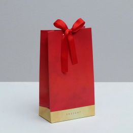 Пакет подарочный с лентой Present, 13 × 23 × 7 см